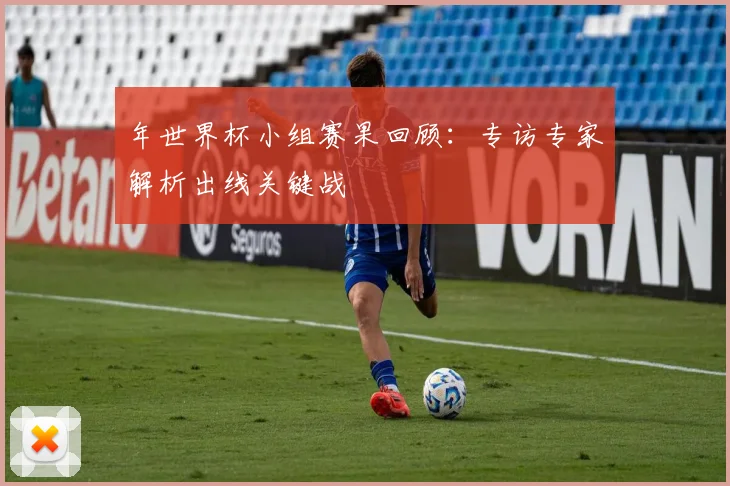 年世界杯小组赛果回顾：专访专家解析出线关键战