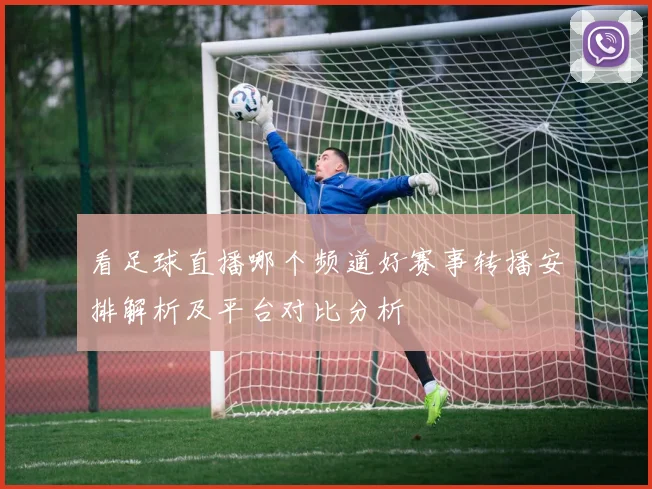 看足球直播哪个频道好赛事转播安排解析及平台对比分析