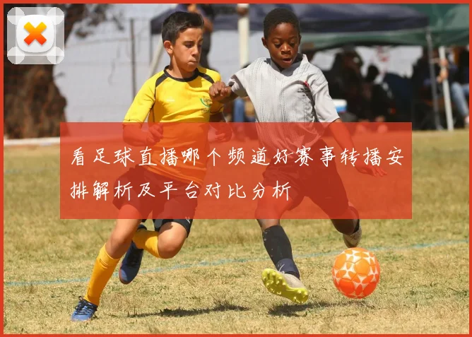 看足球直播哪个频道好赛事转播安排解析及平台对比分析