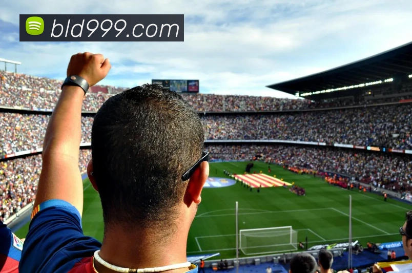 开云在线官网登录入口平台生态图